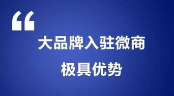阿土伯網專業信息技術咨詢服務在長沙岳麓區熱賣促銷